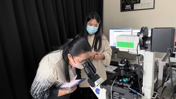 Research Residency | Deepening Taiwan-Thailand Biomedical Synergy: TTSTC Facilitates Month-Long Research Residency for KMITL BME Department Head圖