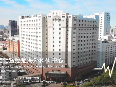 圖：Taiwan-Singapore Aging and Cancer Overseas Science and Technology Innovation Center