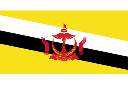 brunei flag