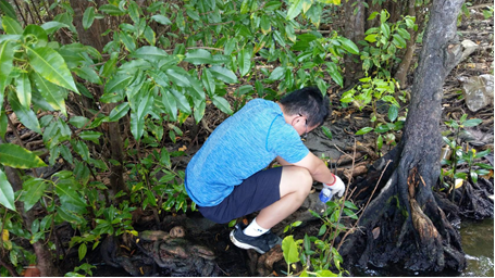 圖十一、中山大學海洋生物科技暨資源學系廖志中教授採集紅樹林微生物樣本