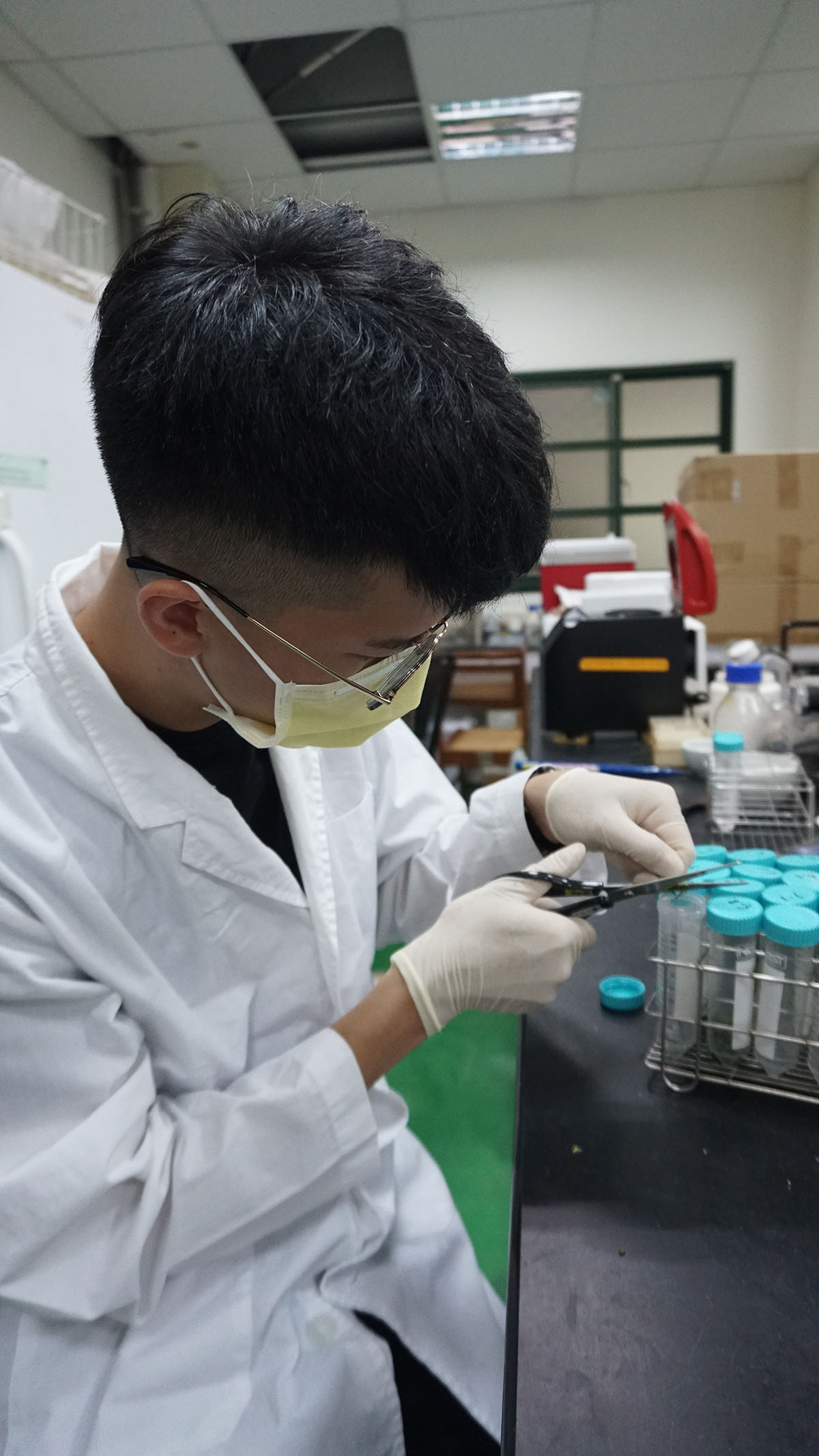 圖五：研究團隊進行牛樟芝的萃取和活性實驗（林珮霖攝）
