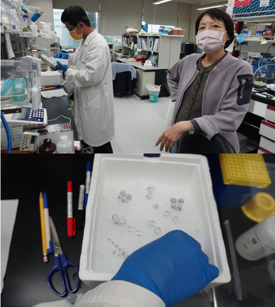 圖2：團隊成員進行病毒相關研究(林珮霖拍攝）
