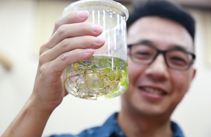 劉商隱助理教授進一步表示，與斯里蘭卡環境與氣候相仿的臺灣也有豐富的海草生態系，目前本島（臺灣西部、南部與東部）、東沙島、鄰近離島（澎湖、小琉球、綠島及金門）皆有海草分布紀錄